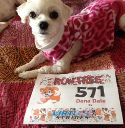 Dena: Ran for my sweet Gracie. She was a former puppy mill momma dog, until she was rescued and rehabbed. Love her!