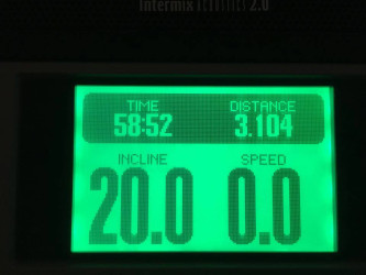 Evelyn: Treadmill; 3.5 mph; 20% Incline