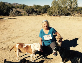 Melody: Me and My Rescue Dogs Running to End Puppy Mills