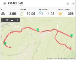 Gwen: 3.55 Miles 14:06 mpm 322 foot climb 156 spm 358 calories