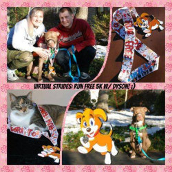 Claudia,: Our foster dog, Dyson walked (calmly! ^_^) with us for our Run Free 5K! We had to go slow so he could sniff everything, but we completed it! Our cat, Smudgie, even got to wear the medal!