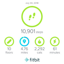 Jolie: My FitBit would not sync so here is picture to show 3.1 miles or 5K.  Thanks!!
