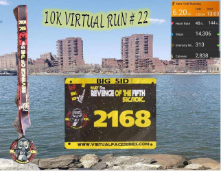 Donald: Revenge Of The 5th 10k Virtual Run #22