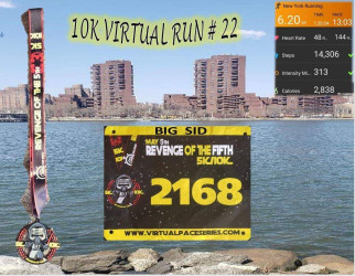 Donald: Revenge Of The 5th 10k Virtual Run #22