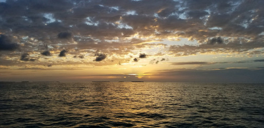 Ruth:  Beautiful Key West Sunset!   Took awhile,  but finished!
