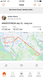 Amber: Half Marathon Split Time (17.34 total miles for the run)