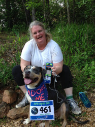 Mary: "Millie's first 5K!! A SUPER RUNNING & FITNESS BUDDY, Millie is looking for her next trainer to share runs, walks, snuggles, and kisses with! How many trainers are this pretty, will be as completely devoted to you, and snuggle on the couch with you AFTER a hard workout? Plus guarantee to wake you up for morning runs with kisses and smiles? She's been a great foster but is so ready for her forever home!! (Thanks Virtual Strides for always having dog friendly runs!)"