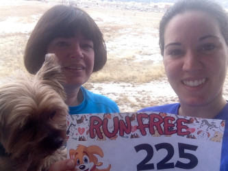 Juli: Katie and I ran the Run Free Virtual Strides today.  We ran in honor of this cutie, Millie, rescued by National Mill Dog Rescue in February 2015, and became a part of our family in June 2015.