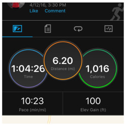 Lindsay: Had a great run pushing the BOB Dualie as I ran my Tough Mother Virtual 10k. Can't wait to get my awesome medal!
