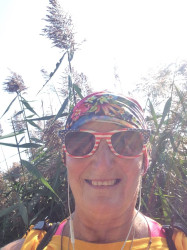 Anne: Sooo, on MONDAY, SEPTEMBER 18th, 2017... I rode my bike 15.49miles at BUSSE WOODS FOREST PRESERVE in ELK GROVE VILLAGE, ILLINOIS for the BEE HEALTHY VIRTUAL 5K RUN/WALK/BIKE... It was such a Beautiful Day and I am so Blessed to keep on being able to help support VIRTUAL STRIDES for their Charities... I am so sorry for the late posting, but I was recently diagnosed with BREAST CANCER and have been going the CHEMO TREATMENTS... and I totally forgot to do the post... But I will keep on doing the WALKS and the BIKE RIDES because there is ALWAYS someone out there who is having it so much worse than I am... GOD BLESS and HAVE A BLESSED DAY...