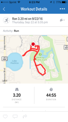 Carlyn: Running in Florida