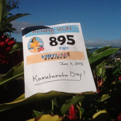 Elgin: "Aloha!  Today is Kamehameha Day here in Hawaii.  What better way to celebrate it by doing a 10 K."