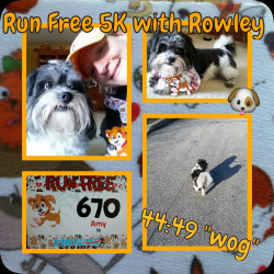 Amy: Wogged this 5K with my little bestie - it was a nice "stop to sniff or pee on the roses" pace.
