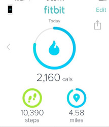 Michele: My Fitbit results the day