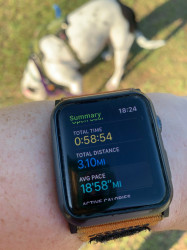Jennifer: Fastest 5K ever with my hound, and I didn't subtract anything for all his potty stops!