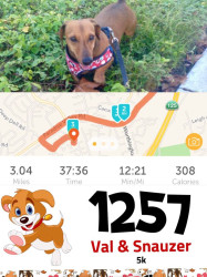 Valerie: Keeping each other happy and healthy - my best friend and running buddy, my handsome hotdog - Snauzer!