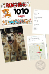 Kristin: My four legged running buddy Bailey ran her first 10k with me today for this cause!