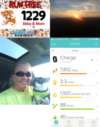 Tina: Abby the Chi and I did her 2nd 5K for another great cause!!!