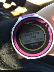 Alexa: Chilly Super Bowl morning but ran 4.30 miles!