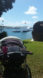 Brittney: Lovely 10k on historic Ford Island on Pearl Harbor Hawaii! With my munchkins in tow. Aloha!