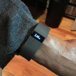 Veronica: Fitbit results