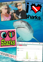 Solana: I love sharks - 6.85 miles!