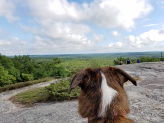 Jessica: 5k hike with my dog at Bradbury Mountain in Freeport, ME