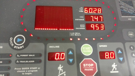 DOROTHY: indoor treadmill run