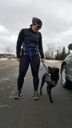 JJ: Here is my running mate, Ojai. This run celebrated a lot of things for both of us. Sending love to the puppies and their soldiers finding one another and their forever homes.