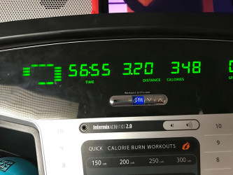 Suzanne: Snapshot of treadmill