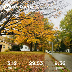Monica: Beautiful fall morning 5k run.